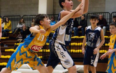 GIOVANILI – Ripartono a pieno ritmo le giovanili: vincenti U13 Silver e U17 Silver