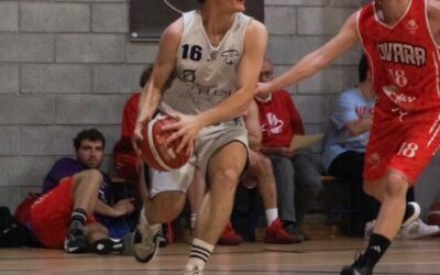 SENIOR – Si ferma la DR4. Spaccalegna bene a Novara